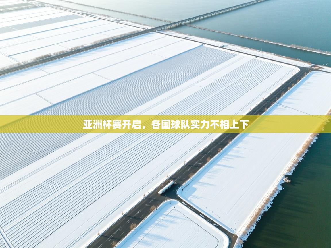 亚洲杯赛开启,各国球队实力不相上下 第2张