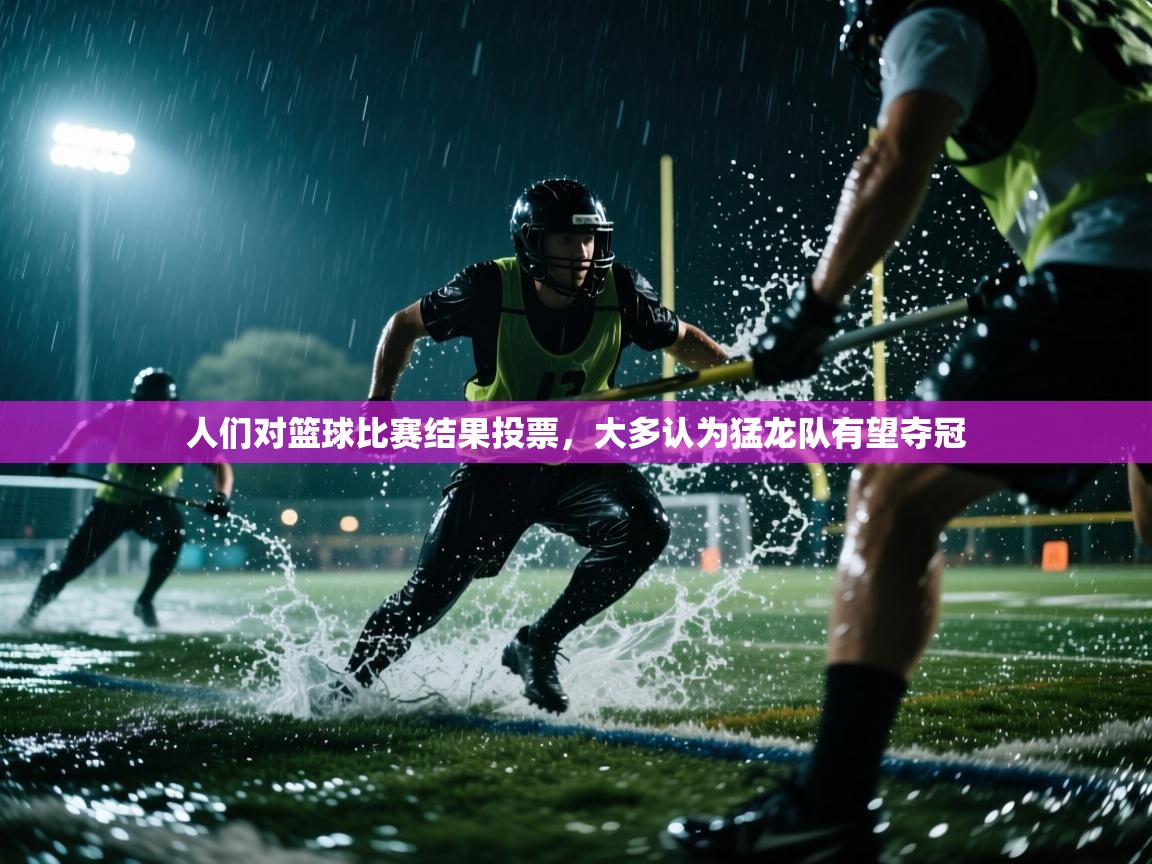 人们对篮球比赛结果投票，大多认为猛龙队有望夺冠
