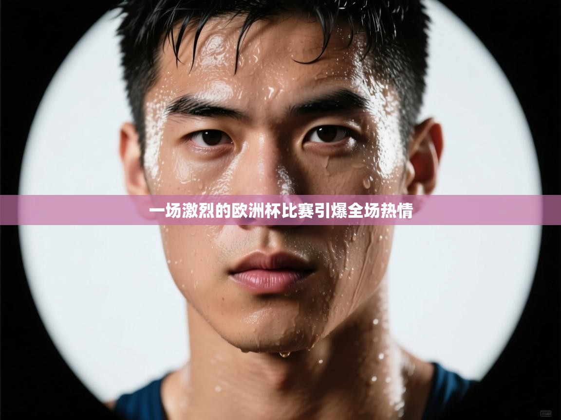 一场激烈的欧洲杯比赛引爆全场热情  第1张