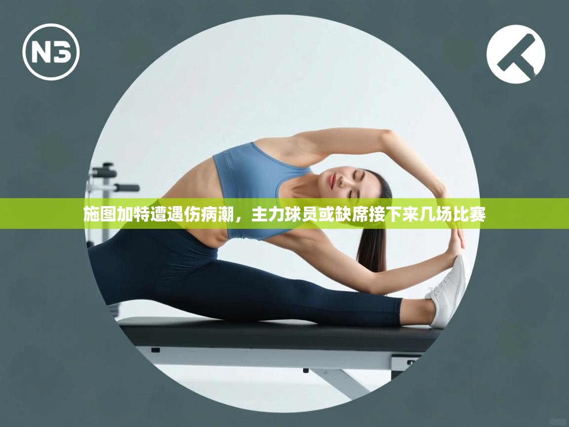 施图加特遭遇伤病潮,主力球员或缺席接下来几场比赛 第2张