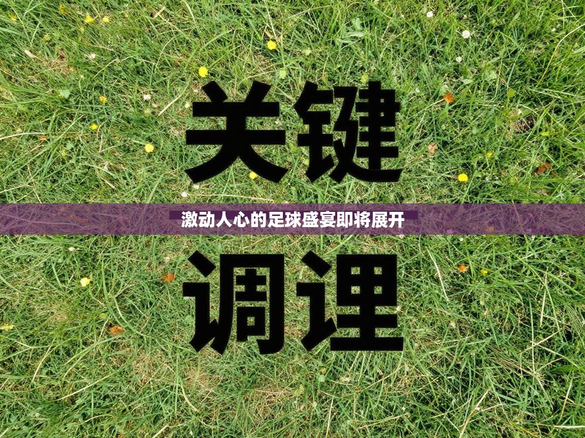 激动人心的足球盛宴即将展开  第2张